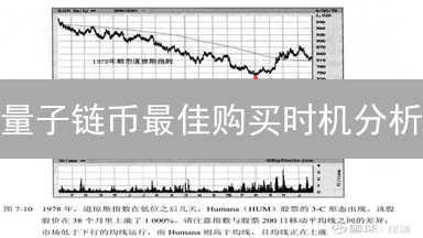 量子链币最佳购买时机分析：技术与市场洞察