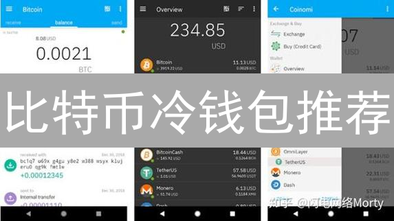 比特币冷钱包推荐：安全存储方案及使用指南