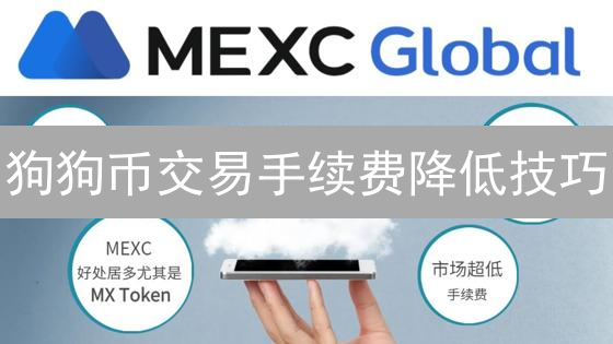 狗狗币交易手续费降低技巧：策略与方法详解