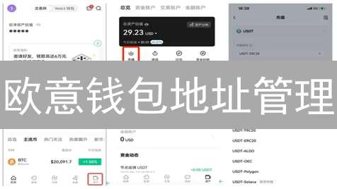 欧意钱包地址管理：深度解析与实战操作指南