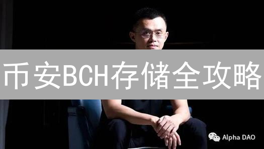 币安BCH存储全攻略：安全保管比特现金，高收益技巧！