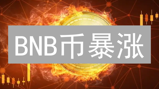 BNB币暴涨？三大因素揭秘！牛市还能上车吗？