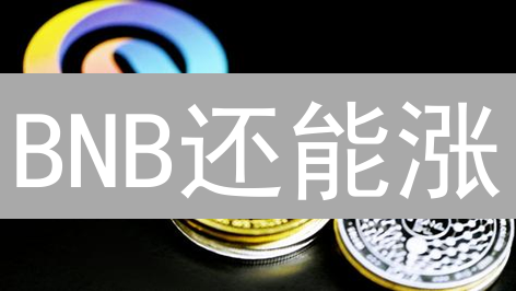 BNB还能涨？深度解析币安币投资价值与风险！