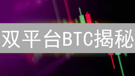 双平台BTC揭秘：新手也能看懂的比特币生态！