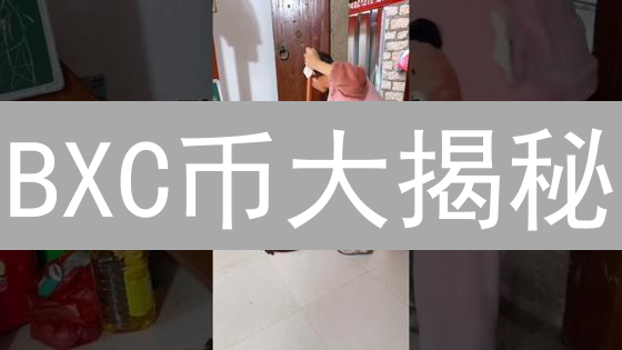 BXC币大揭秘：交易所专属币，能否弯道超车？