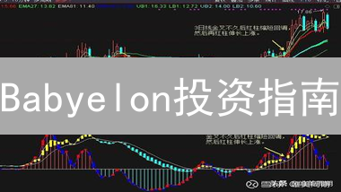 Babyelon投资指南：揭秘最佳买点，抓住财富密码！
