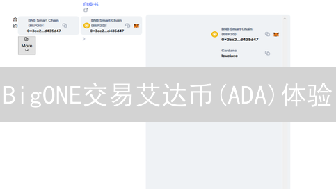 BigONE交易艾达币(ADA)体验：深度、手续费、安全全方位分析