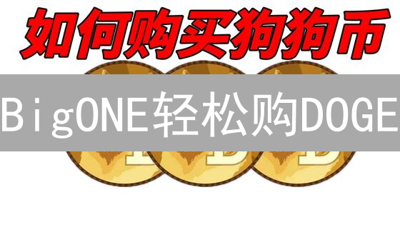 BigONE轻松购DOGE：P2P交易新手指南！避坑必备，快速上手！