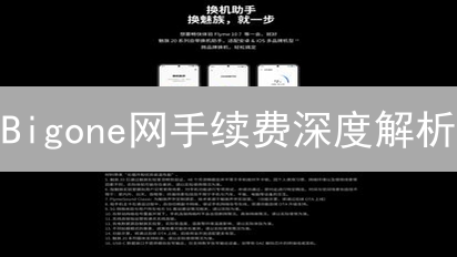 Bigone网手续费深度解析：数字资产交易的隐形成本