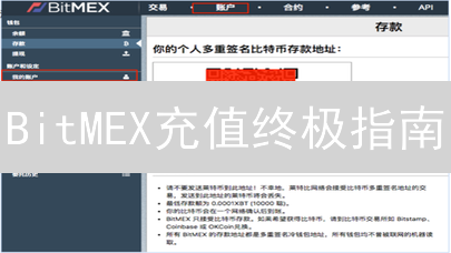BitMEX充值终极指南：3步搞定法币到BTC！避坑必看！