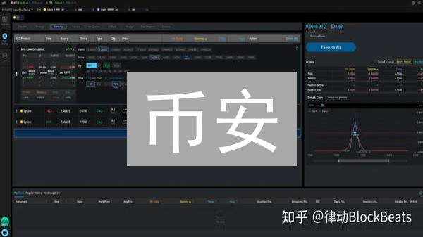 币安/BitMEX期权风控：新手必看，避免爆仓！