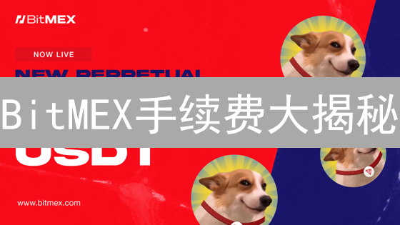 BitMEX手续费大揭秘：如何省钱交易？新手必看！