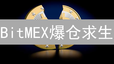 BitMEX爆仓求生：高杠杆下如何稳赚？新手必看！