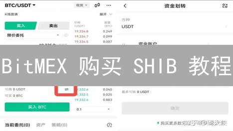 BitMEX 购买 SHIB 教程：新手也能轻松上手，抓住暴富机会！