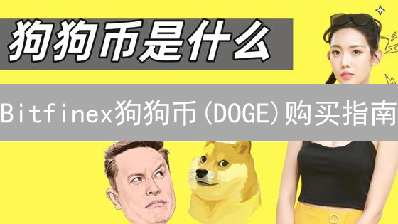 Bitfinex狗狗币(DOGE)购买指南：3步玩转，还能这样提币？
