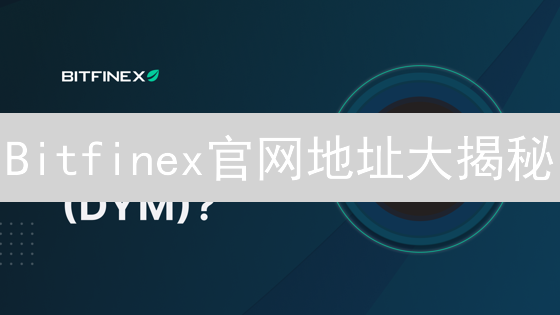 Bitfinex官网地址大揭秘：别让钓鱼网站偷走你的币！