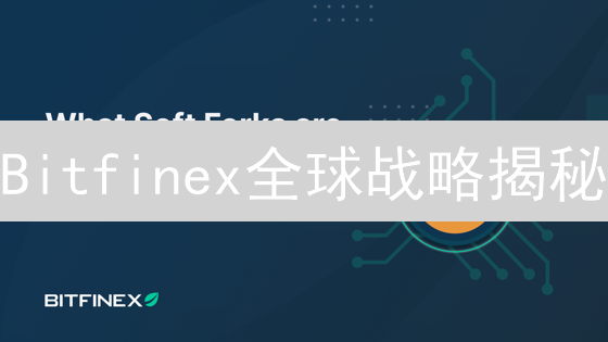 Bitfinex全球战略揭秘：避险港湾还是监管泥潭？