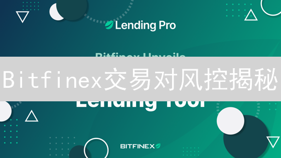 Bitfinex交易对风控揭秘：如何应对市场波动？