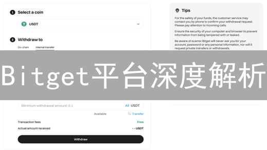 Bitget平台深度解析：数据驱动的加密货币投资策略