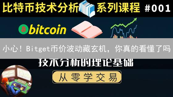 小心！Bitget币价波动藏玄机，你真的看懂了吗？