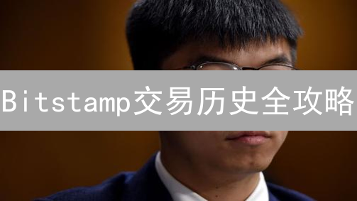 Bitstamp交易历史全攻略：快速查询，轻松报税！