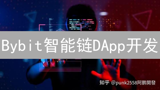 Bybit智能链DApp开发：快速入门与盈利指南？