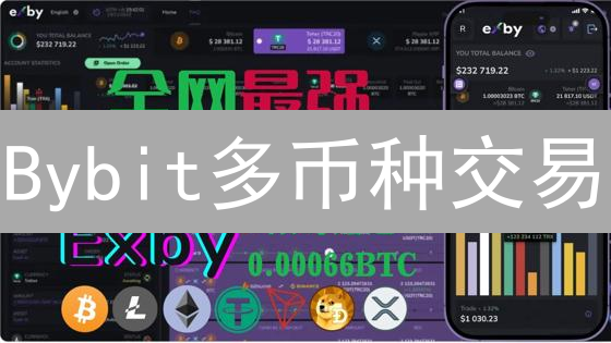 Bybit多币种交易：实战经验分享与风险管理