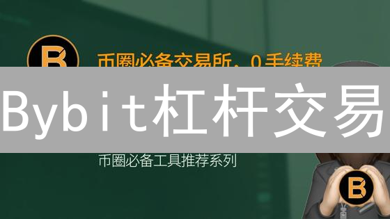 Bybit杠杆交易：新手如何玩转？避免爆仓的秘诀！
