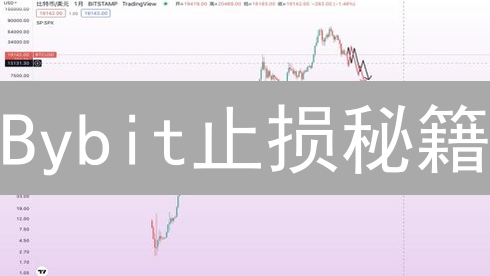 Bybit止损秘籍：告别爆仓，抓住暴富机会！