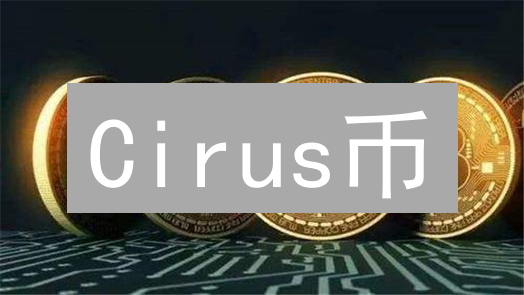Cirus币：颠覆数据变现，用户财富觉醒？现在入场值吗？
