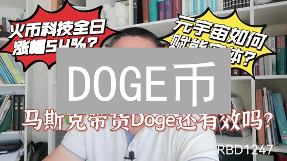 DOGE币：元宇宙加密通行证？应用场景与未来潜力深度解析