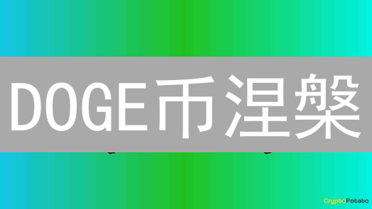 DOGE币涅槃？详解网络升级：速度、安全、未来潜力全解析