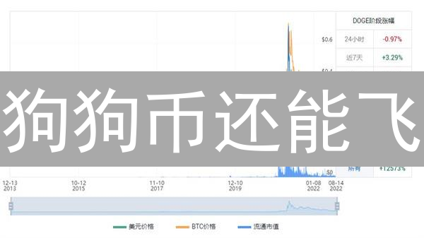 狗狗币还能飞？揭秘DOGE价格过山车的幕后推手！