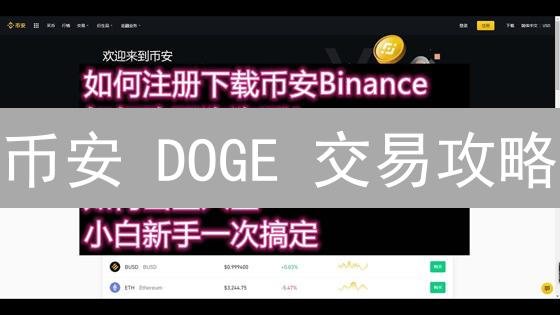 币安 DOGE 交易攻略：新手必看，避免踩坑！