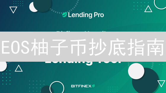 EOS柚子币抄底指南：新手也能在Bitfinex轻松买入！