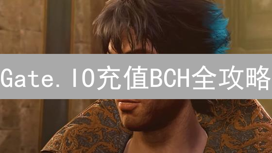 Gate.IO充值BCH全攻略：避坑指南，新手也能轻松上手！