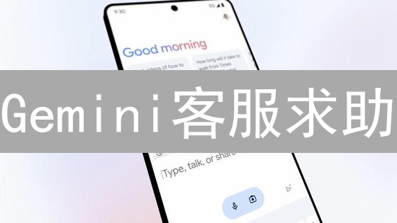 Gemini客服求助：最快联系方式全攻略【2024更新】