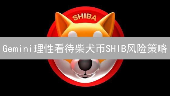 Gemini理性看待柴犬币SHIB风险策略：投资决策指南