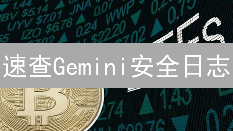 速查Gemini安全日志：揪出可疑活动，守护你的数字金库！