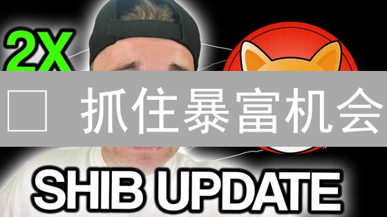 🔥 抓住暴富机会？Kraken 平台极速购买 SHIB 币全攻略！
