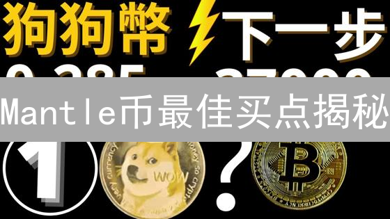 Mantle币最佳买点揭秘：抓住暴涨前的最后机会？