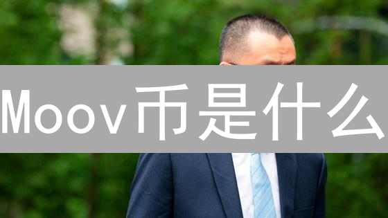 Moov币是什么？2024年Moov平台潜力分析与投资指南！