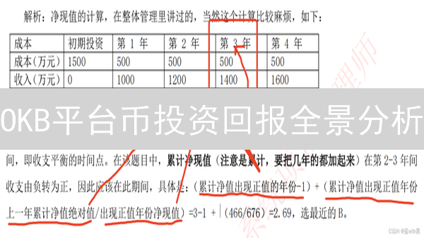 OKB平台币投资回报全景分析：过去、现在与未来？