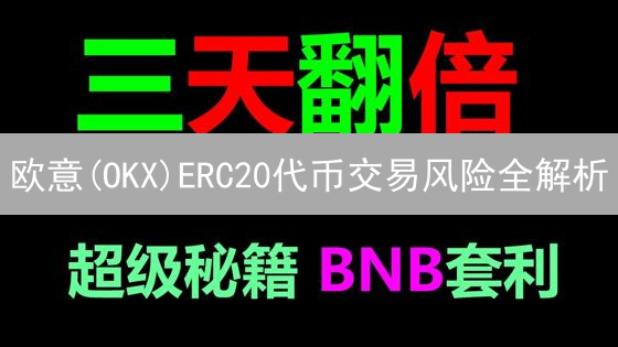 欧意(OKX)ERC20代币交易风险全解析：新手必看指南？