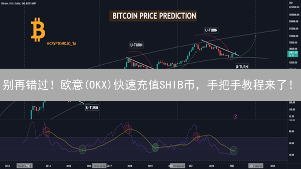 别再错过！欧意(OKX)快速充值SHIB币，手把手教程来了！