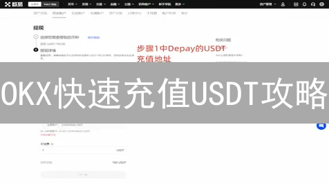 OKX快速充值USDT攻略：新手必看，避坑指南！