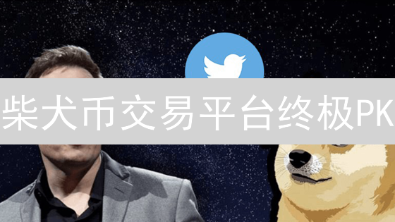 柴犬币交易平台终极PK：Bitget vs 币安，谁更胜一筹？