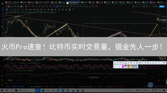 火币Pro速查！比特币实时交易量，掘金先人一步！