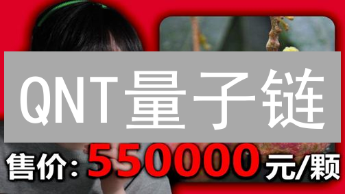 QNT量子链：Coinbase上架后，未来还有暴涨潜力吗？速看！