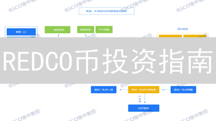 REDCO币投资指南：新手也能轻松掌握！小心这几个坑！